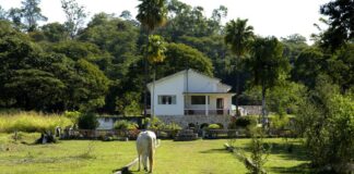 Fazenda Modelo de Pedro Leopoldo